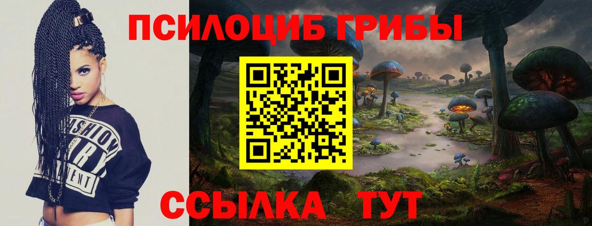 Псилоцибиновые грибы мухоморы Уссурийск